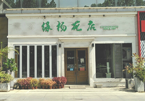 绿杨花店(清潭店) 的图标